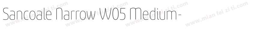 Sancoale Narrow W05 Medium字体转换